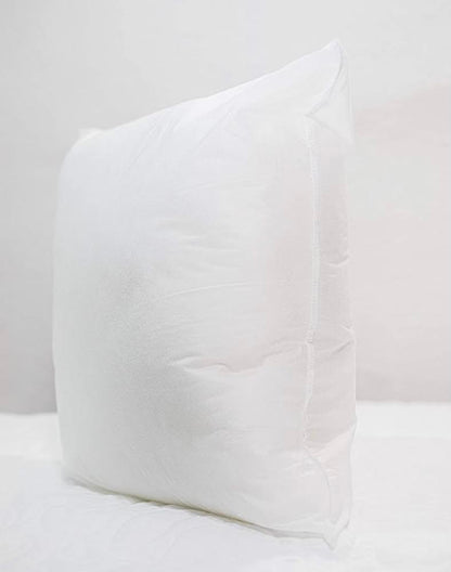 Pillow Insert