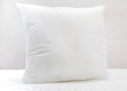 Pillow Insert